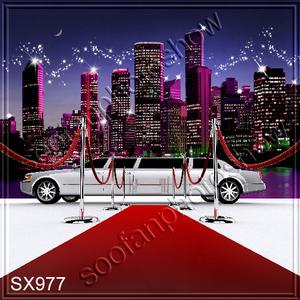 8'x8' sx977B14